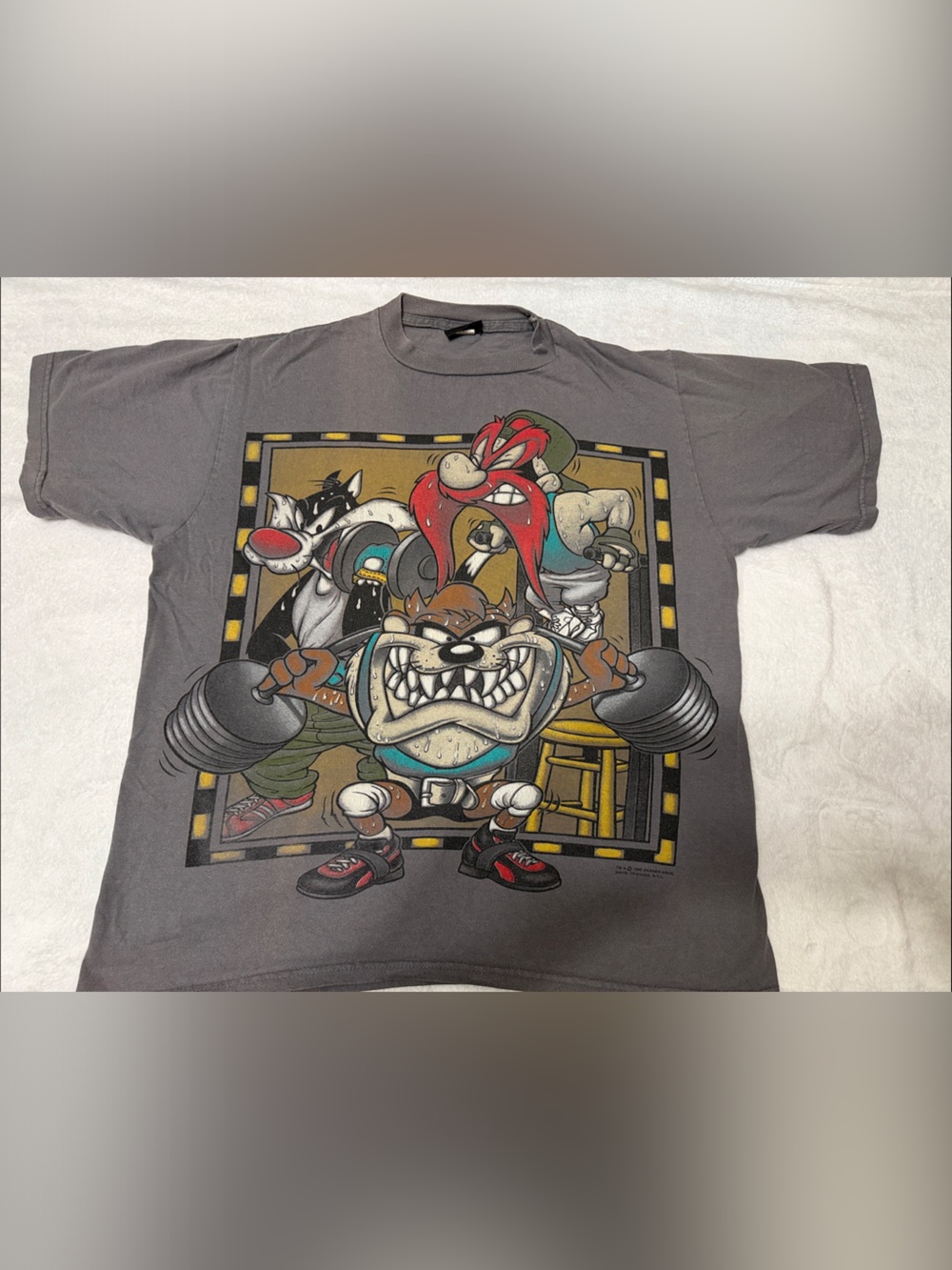 Gray Looney Tunes Graphic Short Sleeve Tee - Unbranded